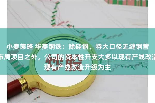 小麦策略 华菱钢铁：除硅钢、特大口径无缝钢管等新品种布局项目之外，公司的资本性开支大多以现有产线改造升级为主