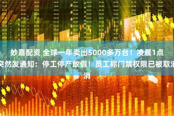 妙嘉配资 全球一年卖出5000多万台！凌晨1点突然发通知：停工停产放假！员工称门禁权限已被取消