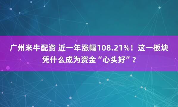 广州米牛配资 近一年涨幅108.21%！这一板块凭什么成为资金“心头好”？