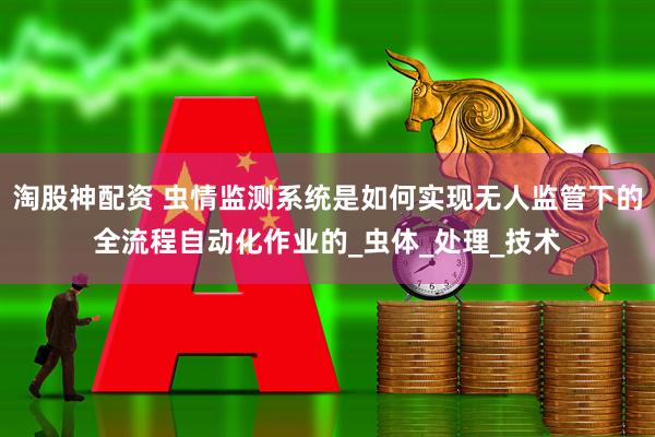 淘股神配资 虫情监测系统是如何实现无人监管下的全流程自动化作业的_虫体_处理_技术