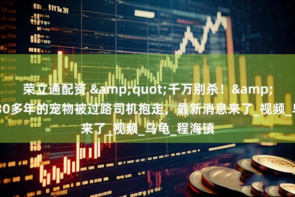 荣立通配资 &quot;千万别杀！&quot;养了30多年的宠物被过路司机抱走，最新消息来了_视频_乌龟_程海镇