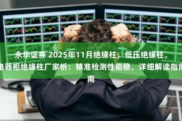 永华证券 2025年11月绝缘柱，低压绝缘柱，电器柜绝缘柱厂家析：精准检测性能稳，详细解读指南